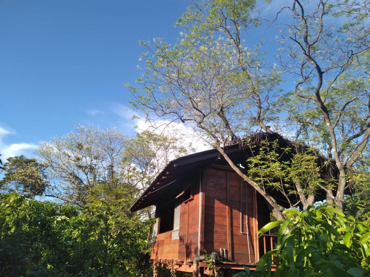 Dambulla Tree House Villa Eksteriør billede