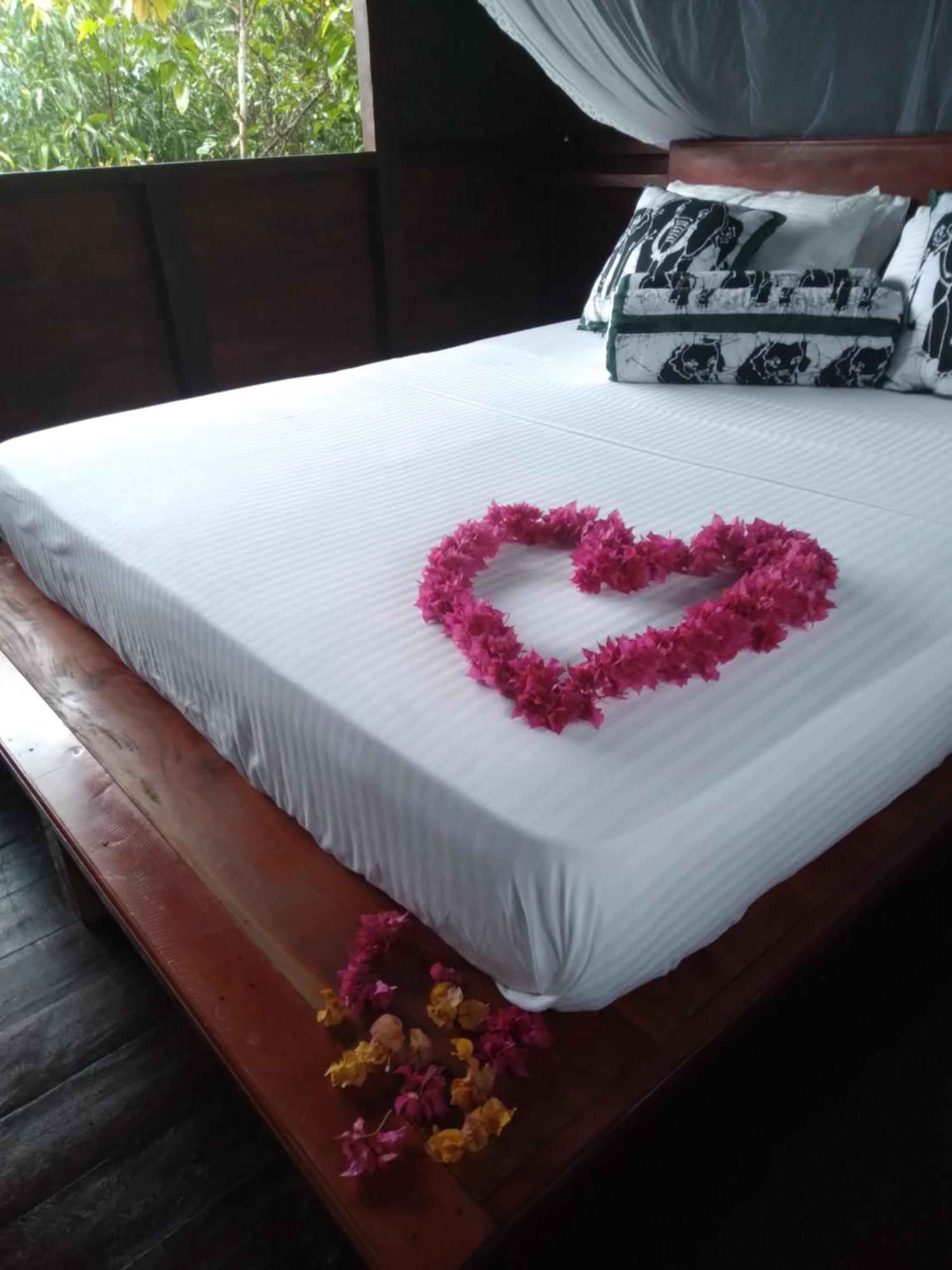 Dambulla Tree House Villa Eksteriør billede