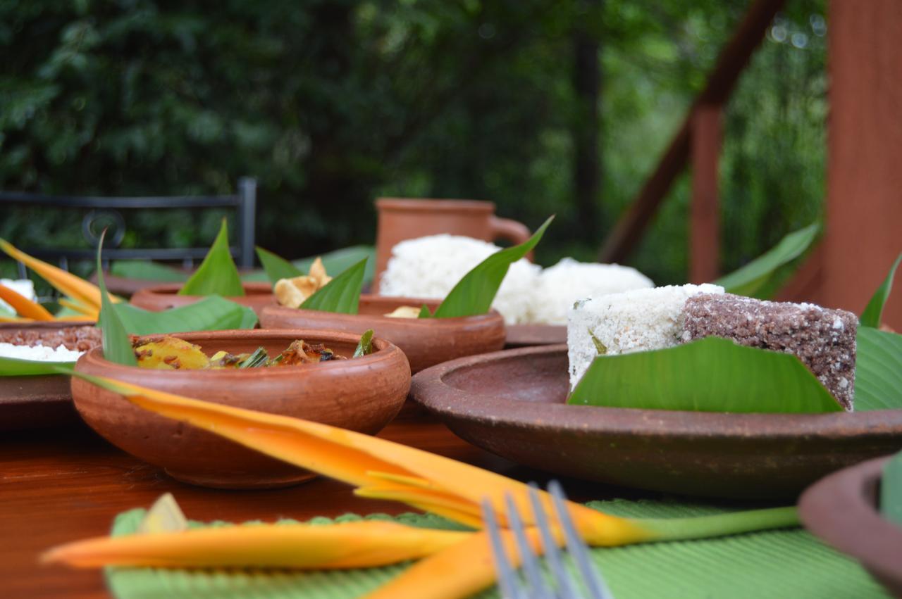 Dambulla Tree House Villa Eksteriør billede