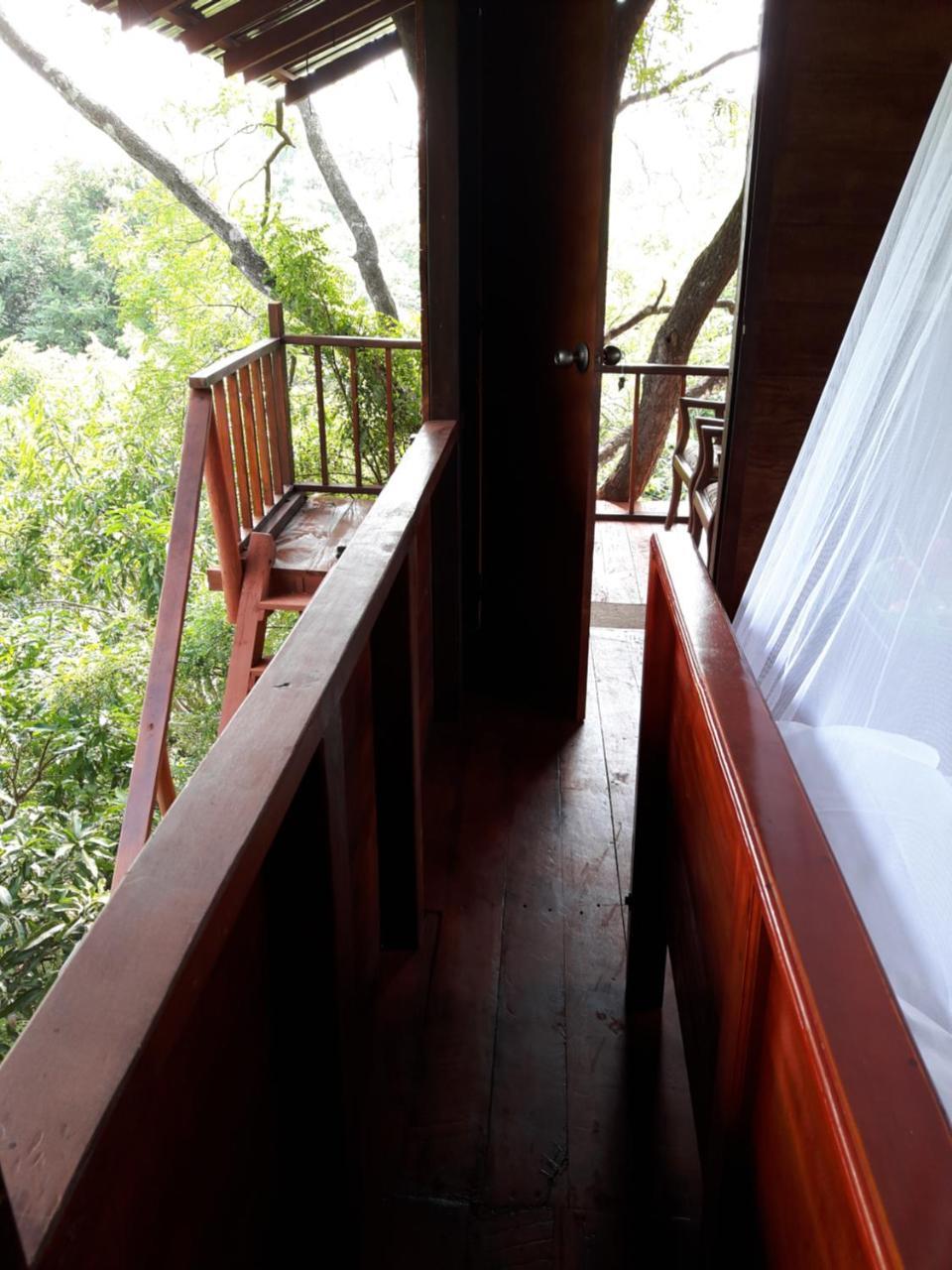 Dambulla Tree House Villa Eksteriør billede