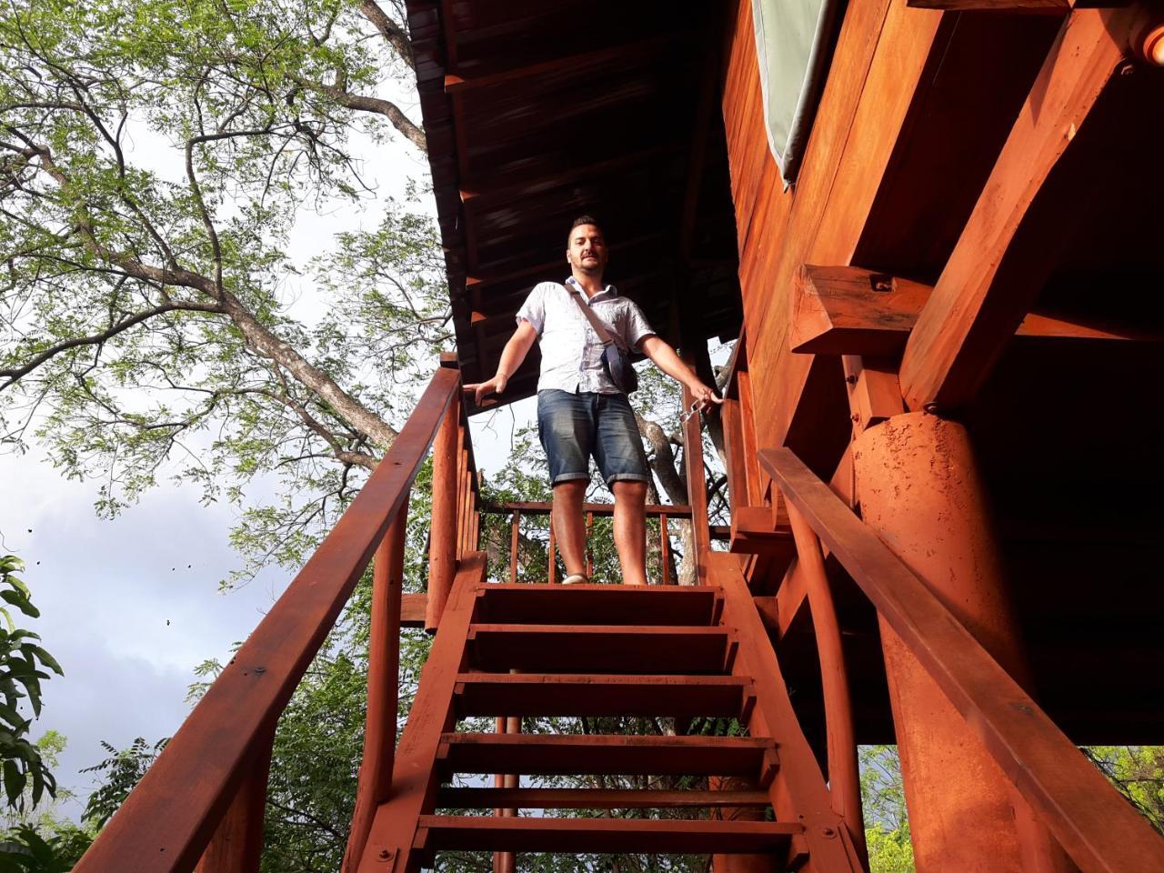 Dambulla Tree House Villa Eksteriør billede